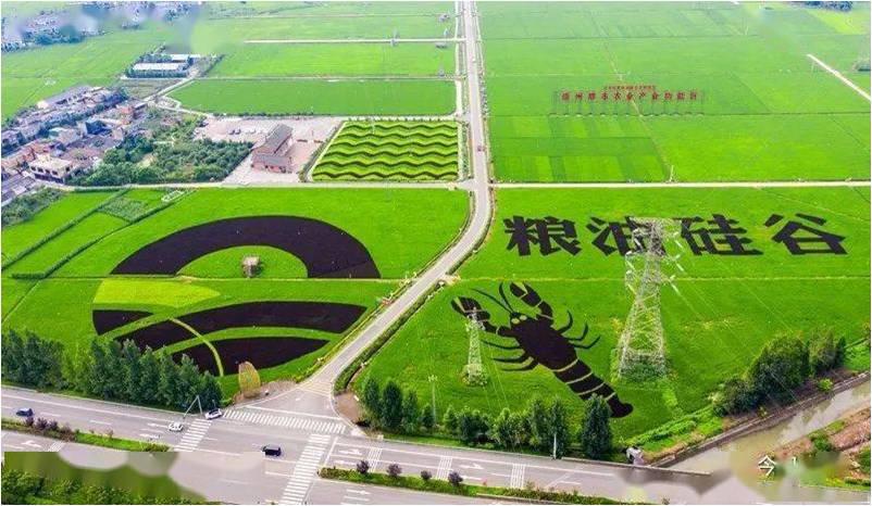 图片5.jpg